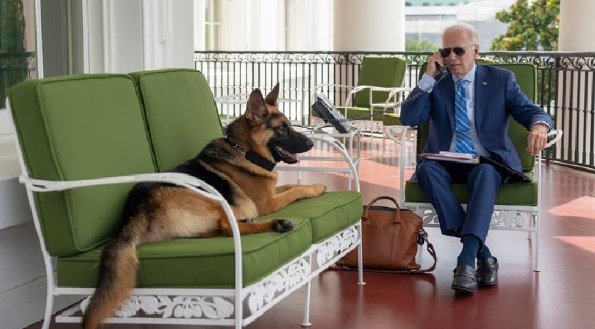 President Biden's Dog